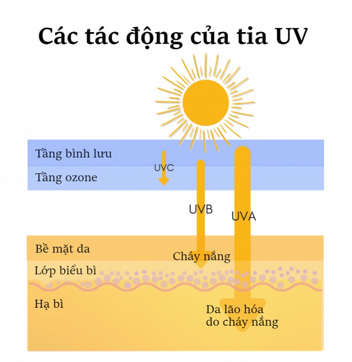 Các loại UV