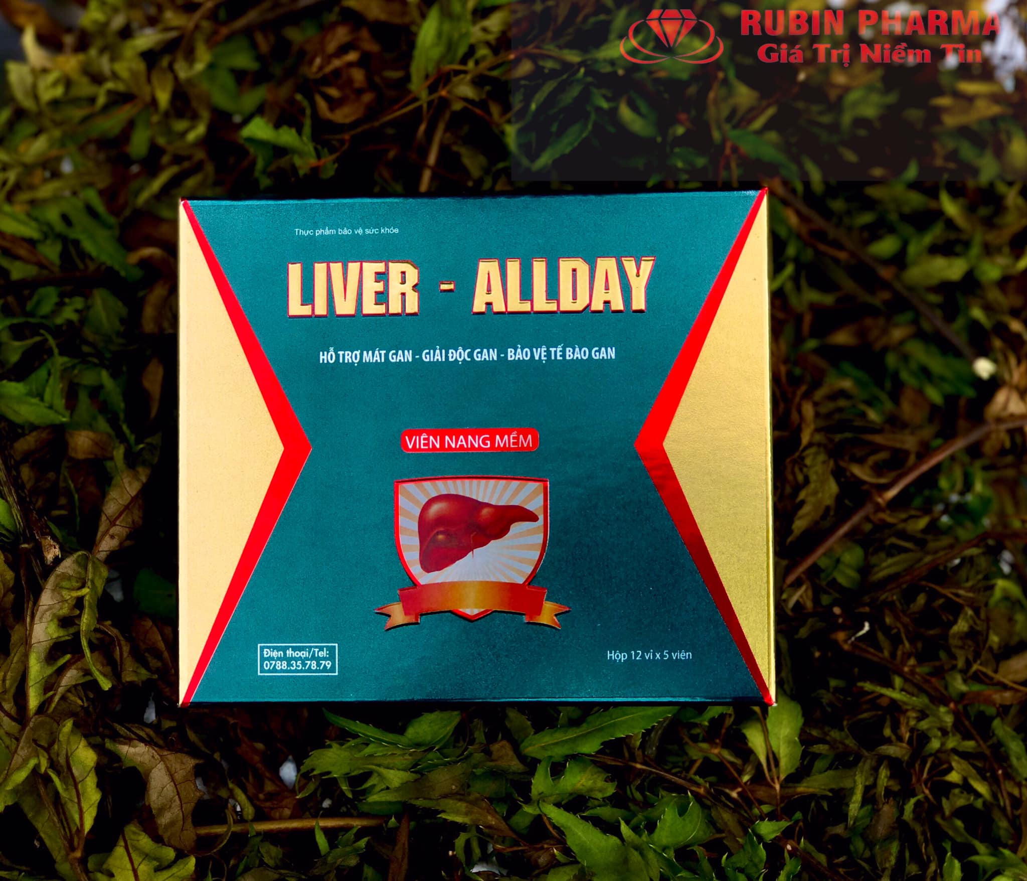 liver allday giai doc gan 66bb2ecdccf75