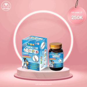 Viên uống SEACALCINE (Lọ 30 viên)